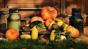 Comment Installer Mspy Sur Iphone Sans Jailbreak