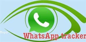 Mspy Cracked Download Apk