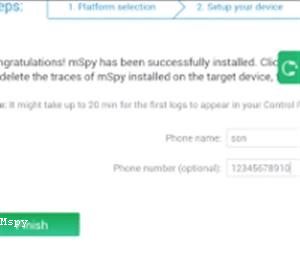 How Long Does It Take to Install Mspy