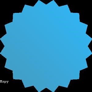 Mspy 使い方
