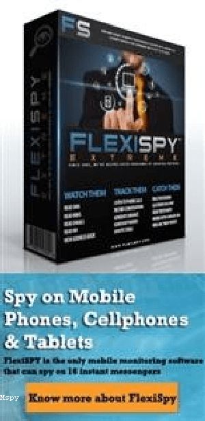 What Is Google Mspy