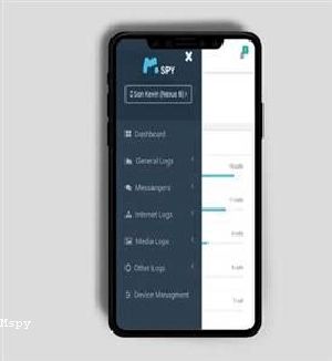 Demo Mspy