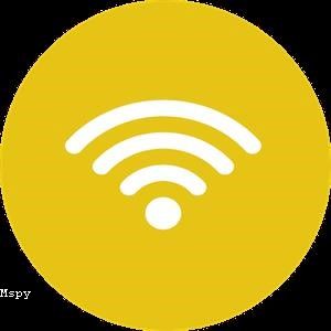 Mspy Message Reader