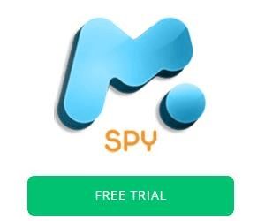 What Is Mspy Lite