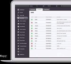Mspy for Skpe