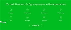 How to Hack Whatsapp With Mspy