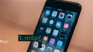 Iphone 6 With Mspy