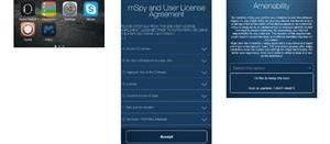 Mspy Icloud Backup
