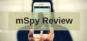 Mspy Demo Version