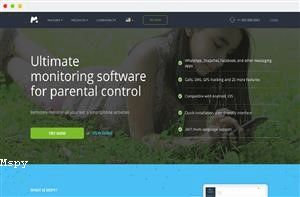 Login Mspy