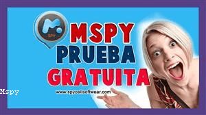 Mspy Hacker