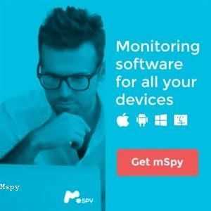 What Is the Mspy Link